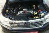 Subaru Forester 2.5 ������� 2008. ���� 5