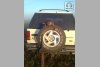 Ford Explorer  1994. ���� 3