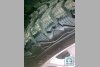 Honda CR-V ��������� 2009. ���� 4