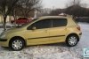 Peugeot 307  2002. ���� 3